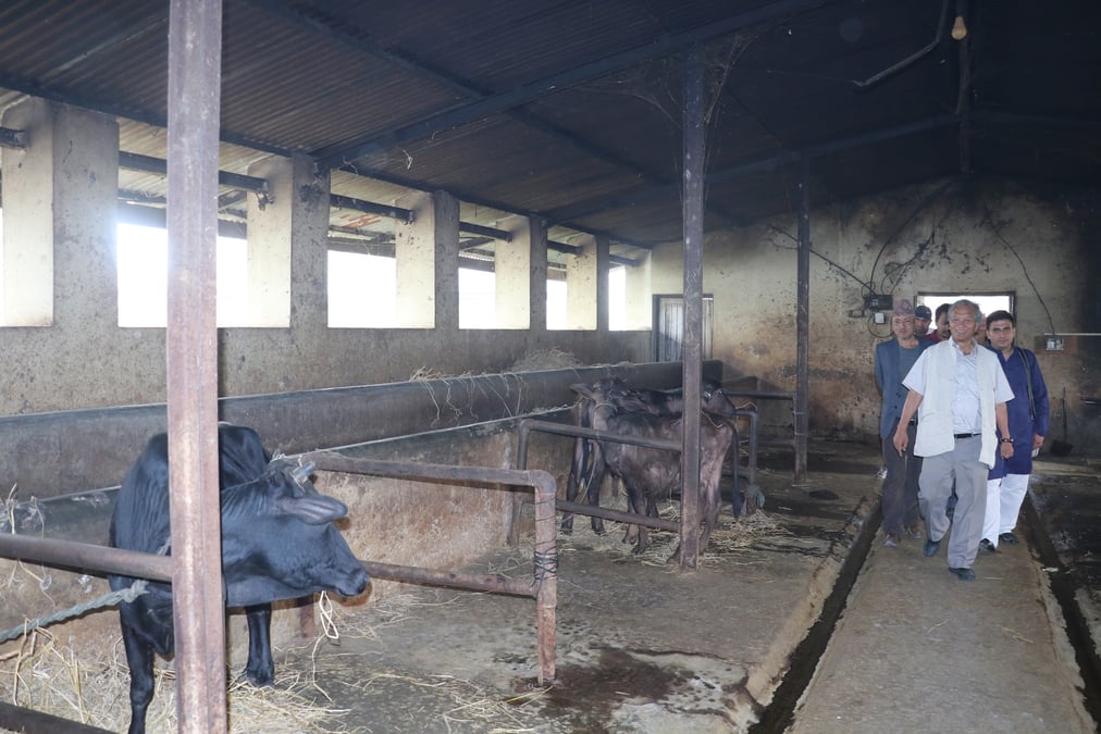 सेवा आयोगका कारण त्रिविमा शिक्षक कर्मचारी अभावः उपकुलपति