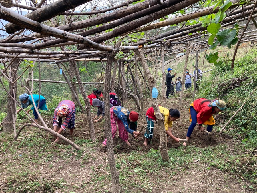 विद्यालयमा व्यावहारिक ज्ञान दिन किबी खेतीः विद्यार्थीको आकर्षण बढ्दो